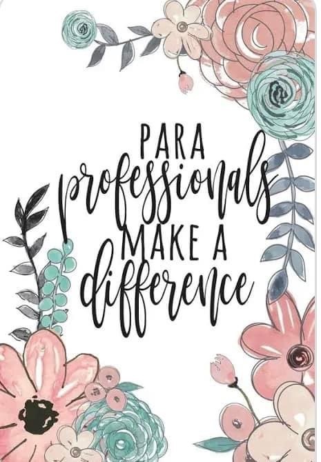 paraprofessional’s make a difference 